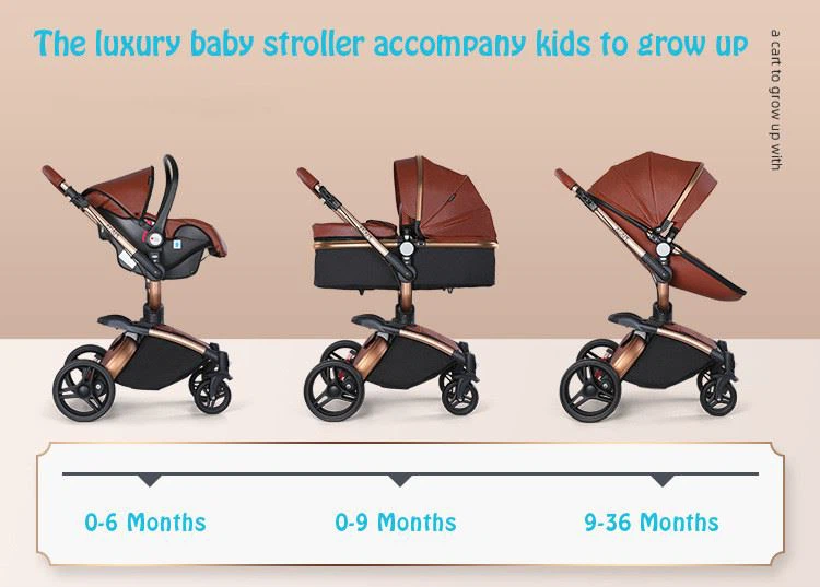 modern stroller